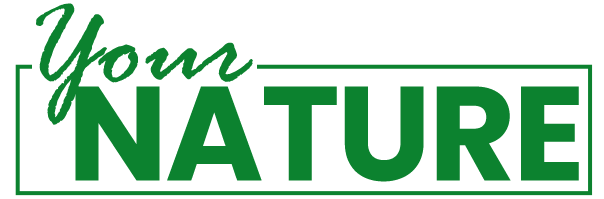 Your Nature Logo_1